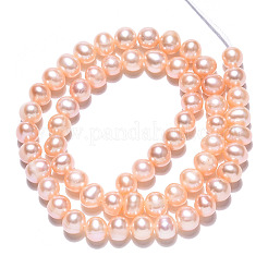 Natural Cultured Freshwater Pearl Beads Strands&nbsp;PEAR-N013-06D