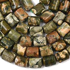 Natural Rhyolite Jasper Beads Strands&nbsp;G-S396-03B