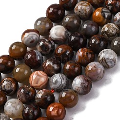 Natural Mexico Crazy Agate Beads Strands&nbsp;G-L615-A01-01