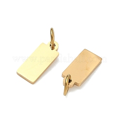 304 Stainless Steel Charms&nbsp;STAS-B124-01C-G