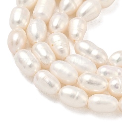 天然養殖淡水パールビーズ連売り  ライス  グレード3 A  ベージュ  5~5.5mm  穴：0.5mm  約48個/連  13.86''（35.2cm）〜14.06''（35.7cm）&nbsp;PEAR-D003-01D-14