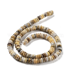 Natural Crazy Lace Agate Beads Strands&nbsp;G-G084-A10-01