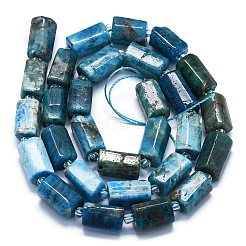 天然ブルーアパタイトビーズ連売り  シードビーズで  多面カット  コラム  12~13x6~8x6~8mm  穴：1mm  約28個/連  15.55''~15.75'（39.5~40センチメートル）&nbsp;G-K245-I07-01