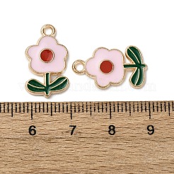 Alloy Enamel Pendants&nbsp;FIND-D304-01C-KCG