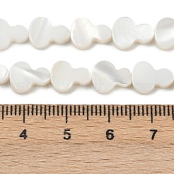 天然淡水シェルビーズ連売り  ヒョウタン  貝殻色  10x7.5~8x2~2.7mm  穴：0.5mm  約40個/連  15.55''（39.5センチメートル）&nbsp;SHEL-K010-02A