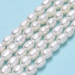 Natural Cultured Freshwater Pearl Beads Strands&nbsp;PEAR-J006-12A