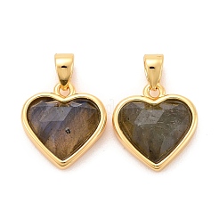 Natural Labradorite Charms&nbsp;G-E538-02G-02