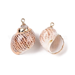 Natural Sea Shell Pendants&nbsp;SSHEL-N038-49
