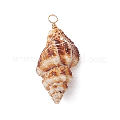 Natural Spiral Shell Pendants&nbsp;PALLOY-JF02950