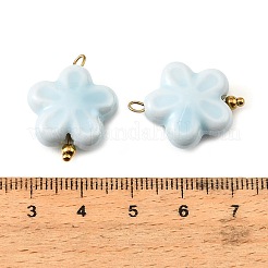 Handmade Porcelain Pendants&nbsp;PR-CBA6293-01