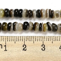 Natural Black Lip Shell Beads Strands&nbsp;BSHE-Z005-06