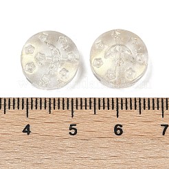 Transparent Glass Beads&nbsp;DGLA-E004-09N