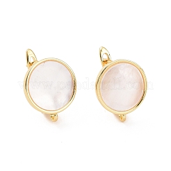 Rack Plating Brass Hoop Earring Findings with Latch Back Closure&nbsp;KK-D086-08G