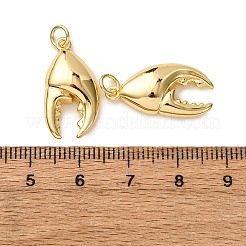 Brass Pendants&nbsp;KK-A271-09M-G