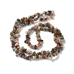 Natural Alashan Agate Beads Strands&nbsp;G-P497-03A-05