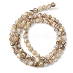 Natural Freshwater Shell Beads Strands&nbsp;SHEL-K006-71B