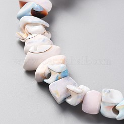 天然淡水シェルビーズ連売り  ナゲットチップス  貝殻色  9~17.5x6~9.5x4.5~7mm  穴：1mm  約70個/連  15.75インチ（40cm）&nbsp;SHEL-C001-04