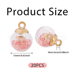 20Pcs Transparent Glass Globe Pendants&nbsp;GLAA-TA0003-57A