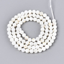 Natural Freshwater Shell Beads Strands&nbsp;SHEL-N038-32