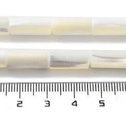 天然ニシキウズガイシェルビーズ連売り  コラム  フローラルホワイト  15.5~16x6.5mm  穴：0.6mm  約25個/連  15.35''（39センチメートル）&nbsp;SSHEL-S266-020A-05