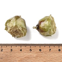 Brass Epoxy Resin Pendants&nbsp;FIND-D043-01G-10