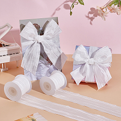 Polyester Wrinkle Ribbons&nbsp;OCOR-WH0078-501B