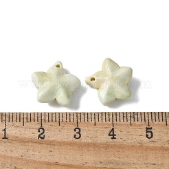 Natural Rainbow Alashan Agate Charms&nbsp;G-G194-02C