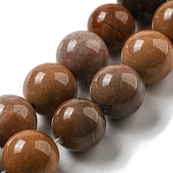 Natural Petrified Wood Round Bead Strands&nbsp;G-F266-08-12mm