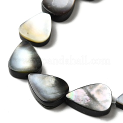 天然ブラックリップシェルビーズ連売り  ティアドロップ  17~17.5x13~13.5x4~4.5mm  穴：1.2mm  約23個/連  15.63''（39.7cm）〜15.71''（39.9cm）&nbsp;BSHE-D300-04C