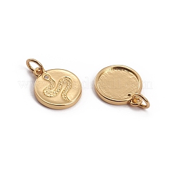 Brass Micro Pave Clear Cubic Zirconia Charms&nbsp;ZIRC-L091-041G