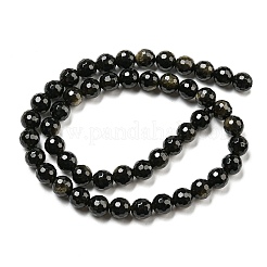 Natural Golden Sheen Obsidian Beads Strands&nbsp;G-E571-A01-02