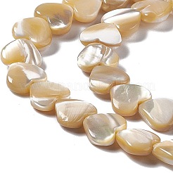 Natural Trochid Shell/Trochus Shell Beads Strands&nbsp;SHEL-F003-08B