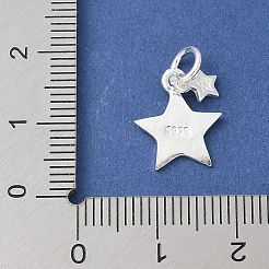 S925 Sterling Silver Pendant&nbsp;STER-H115-03A-S