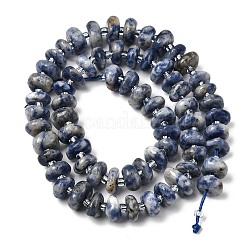 Natural Blue Spot Jasper Beads Strands&nbsp;G-L649-C01-01