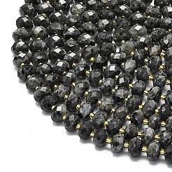 天然ラルビカイトビーズ連売り  多面カット  ロンデル  シードビーズで  8.5~10x5.5~6.5mm  穴：1mm  約43~45個/連  15.35''（39センチメートル）&nbsp;G-P573-A54-01