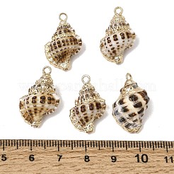 真鍮＆ナチュラルシェルペンダント  巻き貝の形をしたチャーム  金メッキエッジ付き  コーヒー  22~23x14~15x10~11mm  穴：1.8mm&nbsp;SH-CBA27C9-03