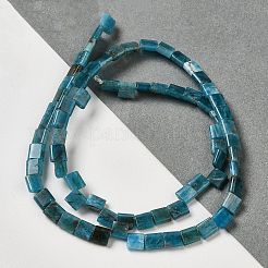 天然石アパタイトビーズ連売り  2穴  長方形  5.5~6x5x2.5mm  穴：0.9mm  約69~70個/連  15.12~15.2インチ（38.4~38.6cm）&nbsp;G-F762-A19-01