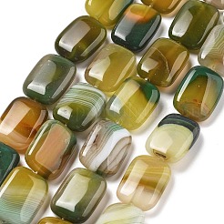 Natural Banded Agate Beads Strands&nbsp;G-K392-B05-13x18mm