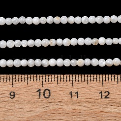 天然淡水シェルビーズ連売り  スムーズなラウンド  ホワイト  2.5mm  穴：0.7mm  約69個/連  7.09''（18センチメートル）&nbsp;SH-CBA2978-07D-02