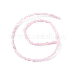 Natural Freshwater Shell Dyed Beads Strands&nbsp;SHEL-M018-12-09