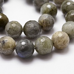 Natural Labradorite Beads Strands&nbsp;G-G736-04-12mm