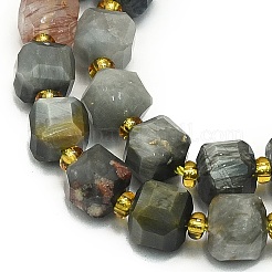 Natura Eagle Eye Stone Beads Strands&nbsp;G-I376-D49-01