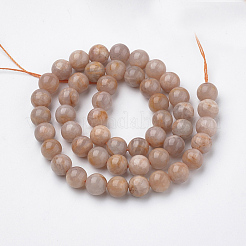 Natural Sunstone Beads Strands&nbsp;G-S150-51-8mm