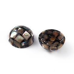 Synthetic Abalone Shell/Paua Shell Beads&nbsp;SSHEL-K001-001D