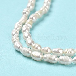 天然養殖淡水パールビーズ連売り  ライス  グレードA +  パパイヤホイップ  4.5~11x3~4mm  穴：0.5mm  約62~64個/連  13.78インチ（35cm）&nbsp;PEAR-E016-151