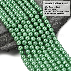 Eco-Friendly Dyed Glass Pearl Round Beads Strands&nbsp;HY-A002-6mm-RB008