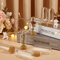 48 Sets Empty Glass Test Tubes&nbsp;AJEW-BC0009-76