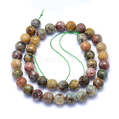Natural Ocean Jasper Beads Strands&nbsp;G-I279-E20-04