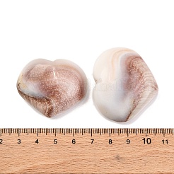 Natural Shiva Eye Shell Cabochons&nbsp;SHEL-H006-01B