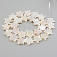 Electroplate Natural Freshwater Shell Beads Strands&nbsp;SHEL-T017-09B